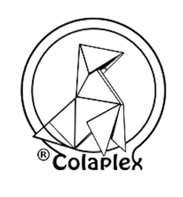 Logo 1